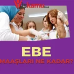 2025 Güncel Ebe Maaşları Ne Kadar Oldu? Kamu ve Özel Sektör Karşılaştırması