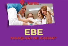 2025 Güncel Ebe Maaşları Ne Kadar Oldu? Kamu ve Özel Sektör Karşılaştırması