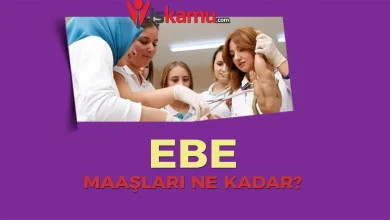 2025 Güncel Ebe Maaşları Ne Kadar Oldu? Kamu ve Özel Sektör Karşılaştırması