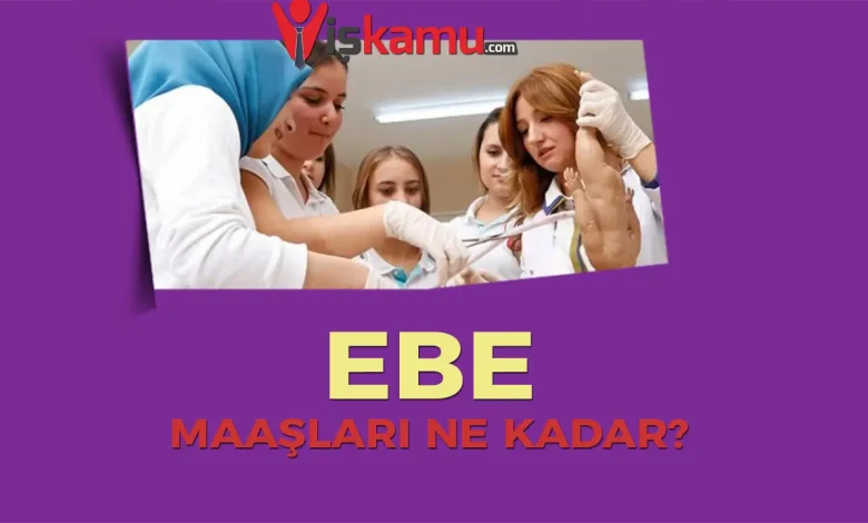 2025 Güncel Ebe Maaşları Ne Kadar Oldu? Kamu ve Özel Sektör Karşılaştırması