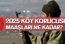 2025 Güncel Köy Korucusu Maaşları Ne Kadar Oldu?