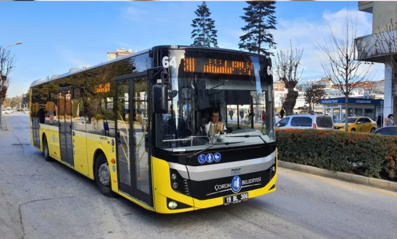 2025 Şoför Maaşları Ne Kadar Oldu? Kamu ve Özel Sektörde Güncel Maaşlar