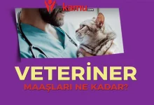2025 Veteriner Hekim Maaşları Ne Kadar Oldu?