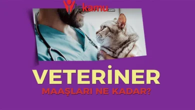 2025 Veteriner Hekim Maaşları Ne Kadar Oldu?