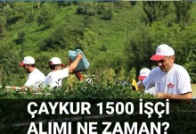 ÇAYKUR 2025 İşçi Alımı Şartları Değişti: SGK’lılar Başvuramayacak!