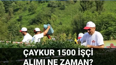 ÇAYKUR 2025 İşçi Alımı Şartları Değişti: SGK’lılar Başvuramayacak!
