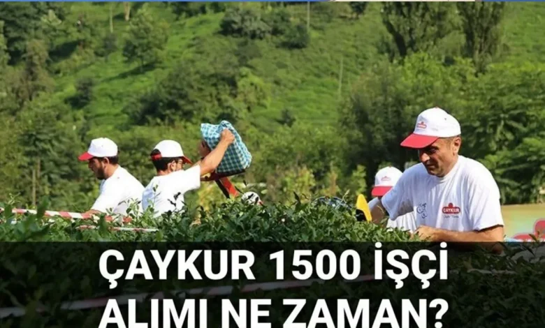 ÇAYKUR 2025 İşçi Alımı Şartları Değişti: SGK’lılar Başvuramayacak!