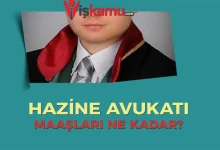 Hazine Avukatı Nedir? Ne İş Yapar? 2025 Güncel Maaş ve Vekâlet Ücretleri