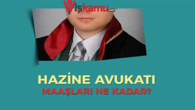 Hazine Avukatı Nedir? Ne İş Yapar? 2025 Güncel Maaş ve Vekâlet Ücretleri