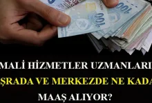 Mali Hizmetler Uzman Yardımcılığı Maaşı 2025: Güncel Bilgiler ve Mesleğe Dair Tüm Detaylar