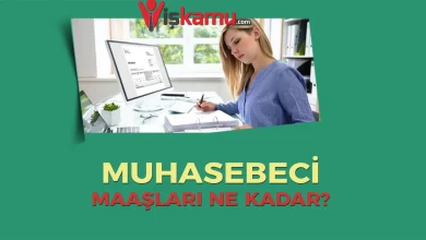 Muhasebeci Maaşları 2025?