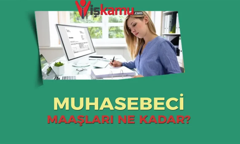 Muhasebeci Maaşları 2025?