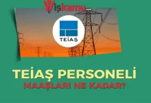 TEİAŞ Personel Maaşları Ne Kadar Oldu? Güncel Mühendis, Tekniker ve Memur Maaşları