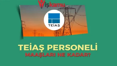 TEİAŞ Personel Maaşları Ne Kadar Oldu? Güncel Mühendis, Tekniker ve Memur Maaşları