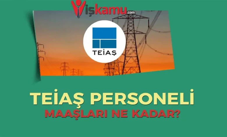 TEİAŞ Personel Maaşları Ne Kadar Oldu? Güncel Mühendis, Tekniker ve Memur Maaşları