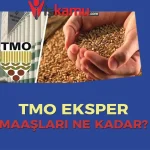 TMO Eksper Maaşları Ne Kadar Oldu? Kimler Başvurabilir?