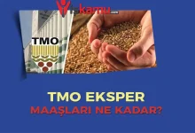 TMO Eksper Maaşları Ne Kadar Oldu? Kimler Başvurabilir?