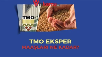 TMO Eksper Maaşları Ne Kadar Oldu? Kimler Başvurabilir?