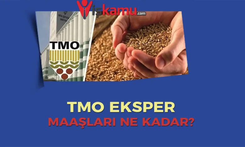 TMO Eksper Maaşları Ne Kadar Oldu? Kimler Başvurabilir?
