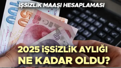 işsizlik maaşı ne kadar oldu