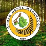2025 OGM Personel Alımı: Başvuru Şartları, Kadrolar ve Sınav Süreci Detaylarıyla Açıklandı