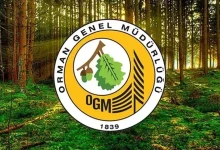 2025 OGM Personel Alımı: Başvuru Şartları, Kadrolar ve Sınav Süreci Detaylarıyla Açıklandı