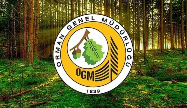 2025 OGM Personel Alımı: Başvuru Şartları, Kadrolar ve Sınav Süreci Detaylarıyla Açıklandı