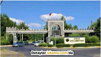 Dicle Üniversitesi 91 Personel Alımı Yapacak