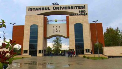 İstanbul Üniversitesi-Cerrahpaşa 9 Sözleşmeli Personel Alımı Yapacak