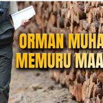 Orman Muhafaza Memuru Maaşı 2025 Temmuz Zammlı Ne Kadar Oldu?