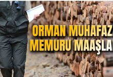 Orman Muhafaza Memuru Maaşı 2025 Temmuz Zammlı Ne Kadar Oldu?