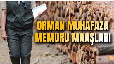 Orman Muhafaza Memuru Maaşı 2025 Temmuz Zammlı Ne Kadar Oldu?