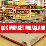 2026 Şok Market Personel Maaşları Ne Kadar Oldu? Güncel Maaşlar ve İş Başvurusu Detayları