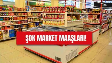 2026 Şok Market Personel Maaşları Ne Kadar Oldu? Güncel Maaşlar ve İş Başvurusu Detayları