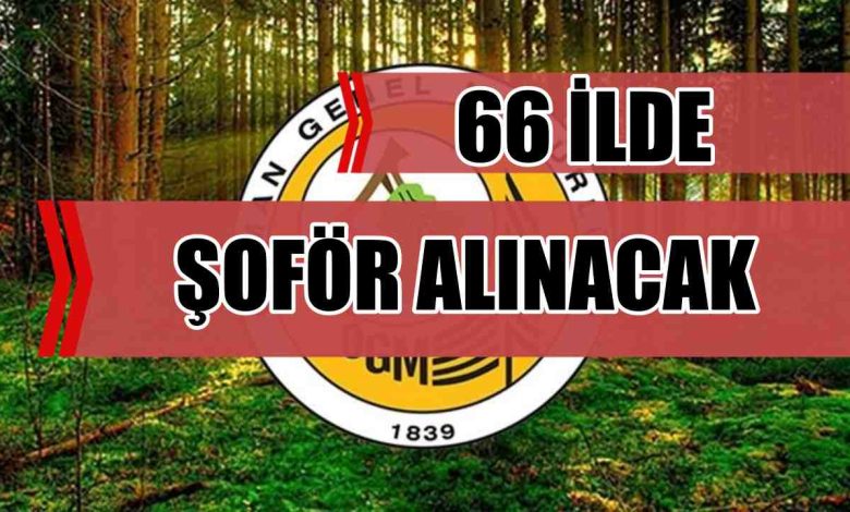OGM 66 İlde 296 Şoför Alımı Yapacak!