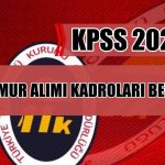 TTK 2025/2 Döneminde Memur Alımı Yapacak!