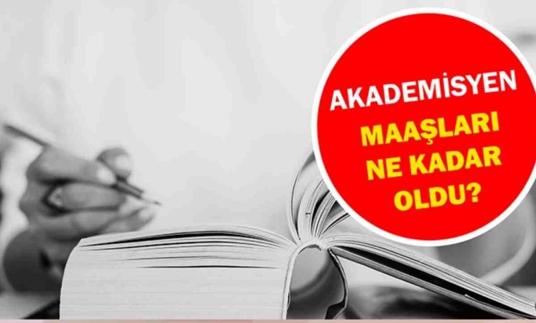 Akademisyen Maaşları Ne Kadar?