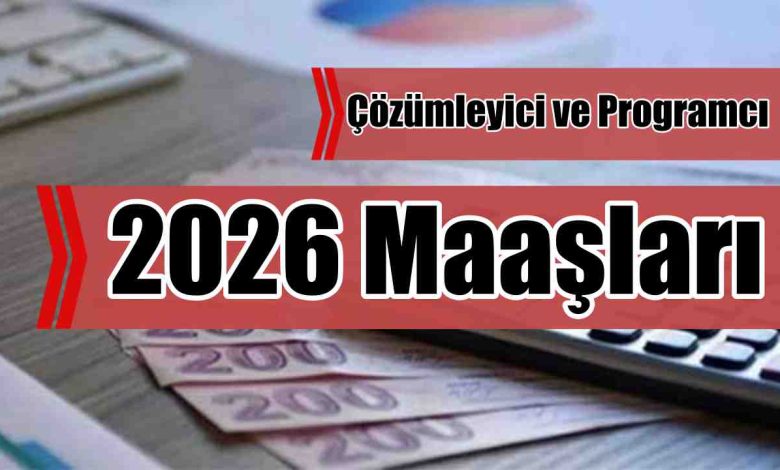 Çözümleyici ve Programcı 2026 Maaşları Ne Kadar?