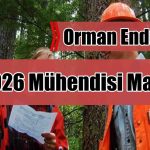 Orman Endüstrisi 2026 Mühendisi Maaşları Ne Kadar?