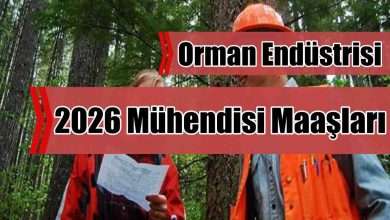 Orman Endüstrisi 2026 Mühendisi Maaşları Ne Kadar?