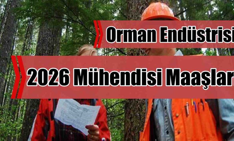 Orman Endüstrisi 2026 Mühendisi Maaşları Ne Kadar?