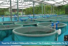 Su Bilimleri Mühendisi 2026 Maaşları Ne Kadar?