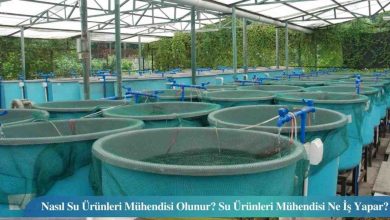 Su Bilimleri Mühendisi 2026 Maaşları Ne Kadar?