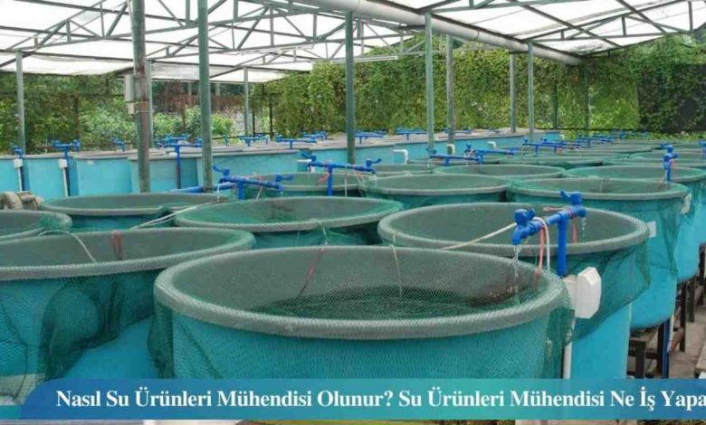 Su Bilimleri Mühendisi 2026 Maaşları Ne Kadar?