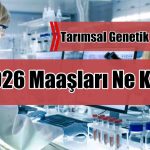 Tarımsal Genetik Mühendisi 2026 Maaşları Ne Kadar?