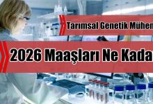 Tarımsal Genetik Mühendisi 2026 Maaşları Ne Kadar?