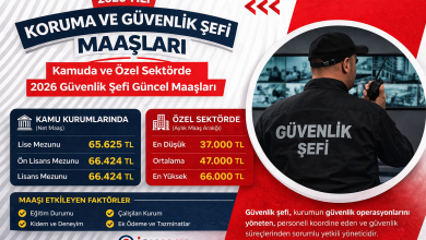 TÜVTÜRK Personel Alımı: Başvuru Şartları, Kadrolar ve Detaylar Açıklandı